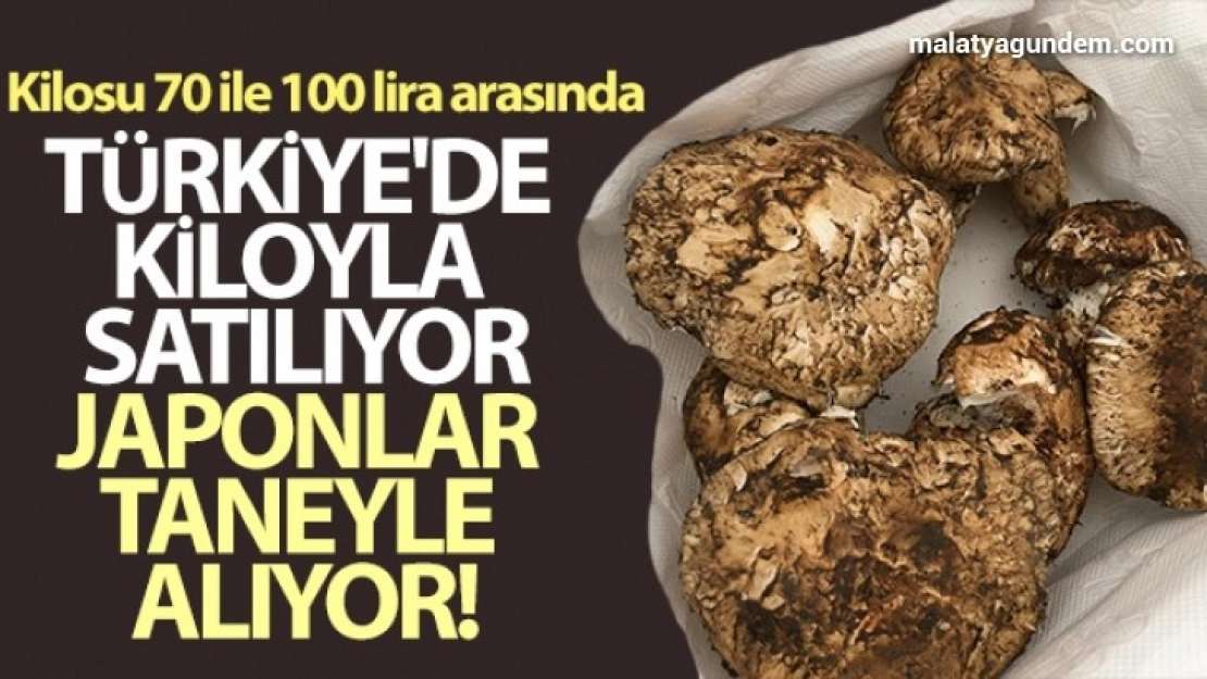 Türkiye'de kiloyla satılıyor, Japonlar taneyle alıyor