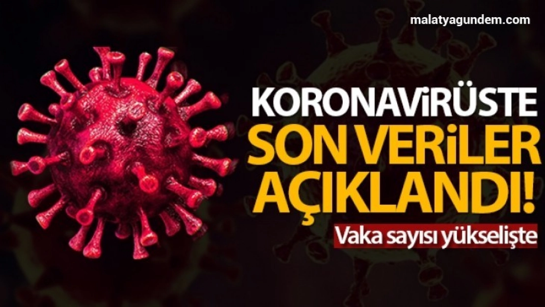 Türkiye'de son 24 saatte 11.770 koronavirüs vakası tespit edildi