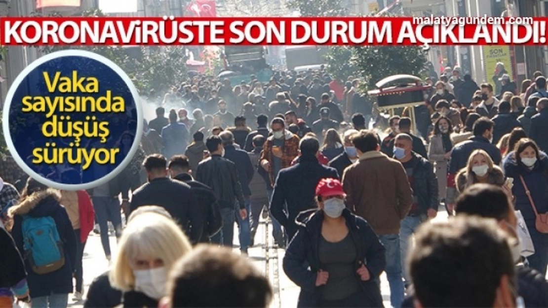 Türkiye'de son 24 saatte 24.733 koronavirüs vakası tespit edildi