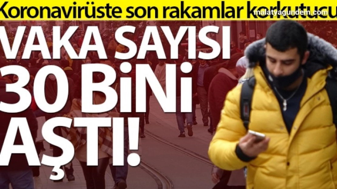 Türkiye'de son 24 saatte 30.021 koronavirüs vakası tespit edildi