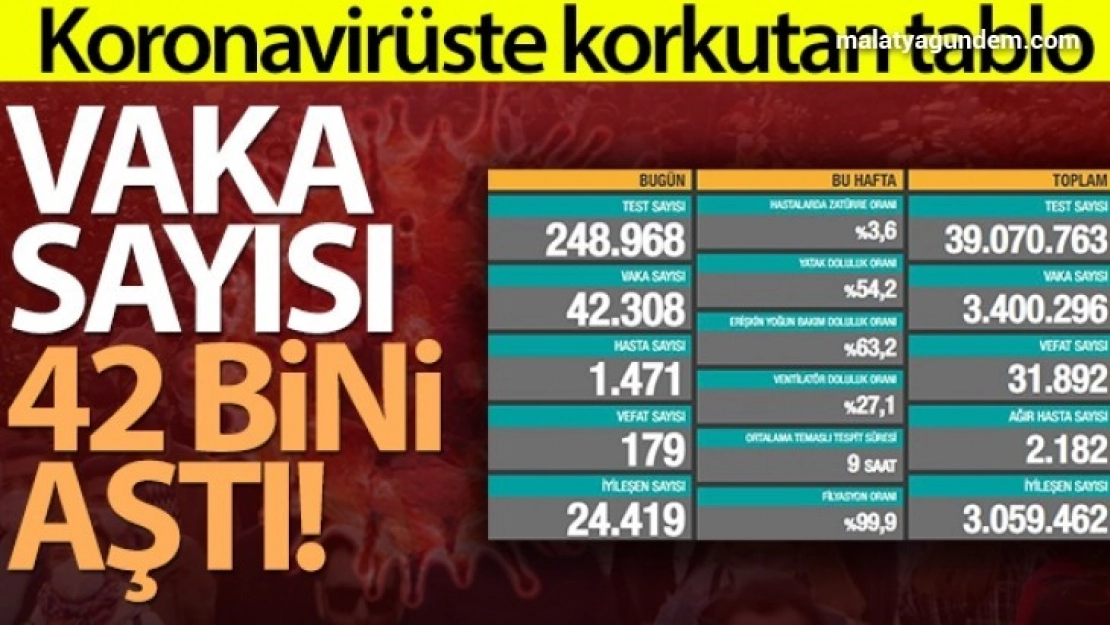 Türkiye'de son 24 saatte 42.308 koronavirüs vakası tespit edildi