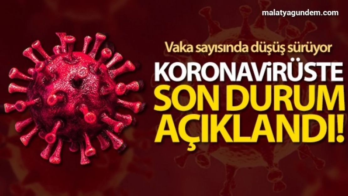 Türkiye'de son 24 saatte 7.550 koronavirüs vakası tespit edildi