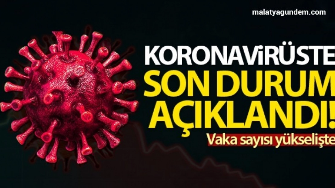 Türkiye'de son 24 saatte 7.795 koronavirüs vakası tespit edildi