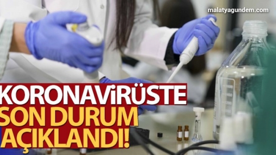 Türkiye'de son 24 saatte 7.906 koronavirüs vakası tespit edildi