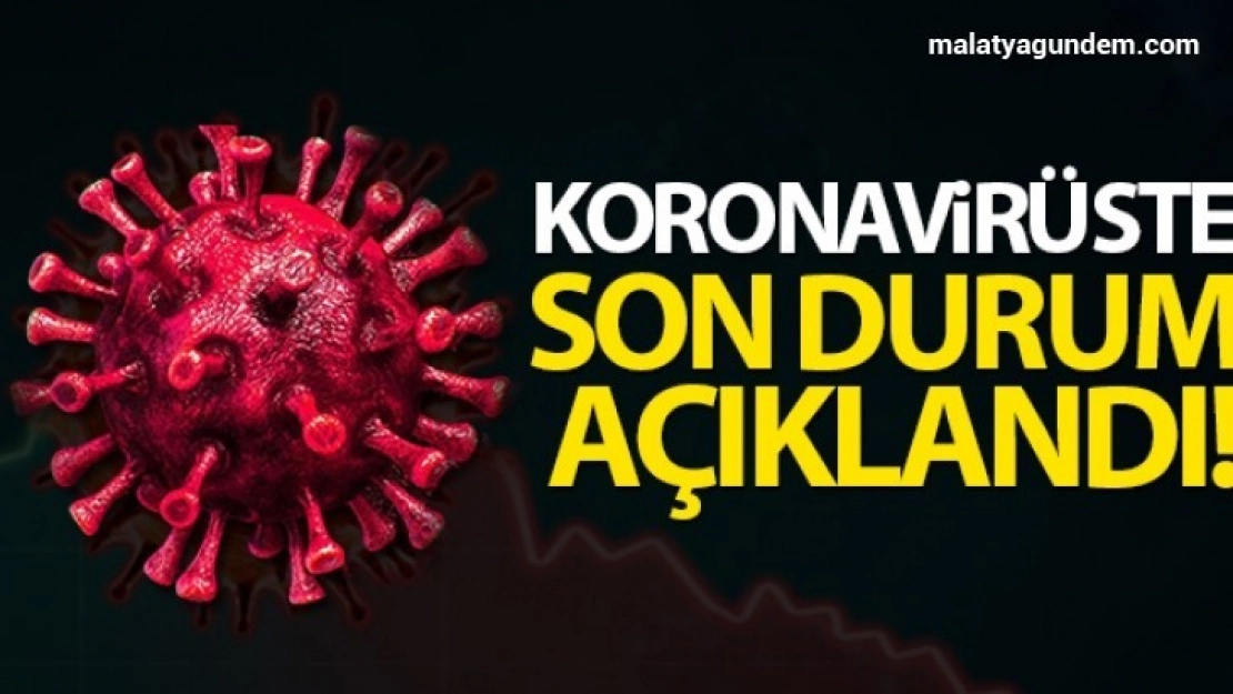 Türkiye'de son 24 saatte 7.909 koronavirüs vakası tespit edildi