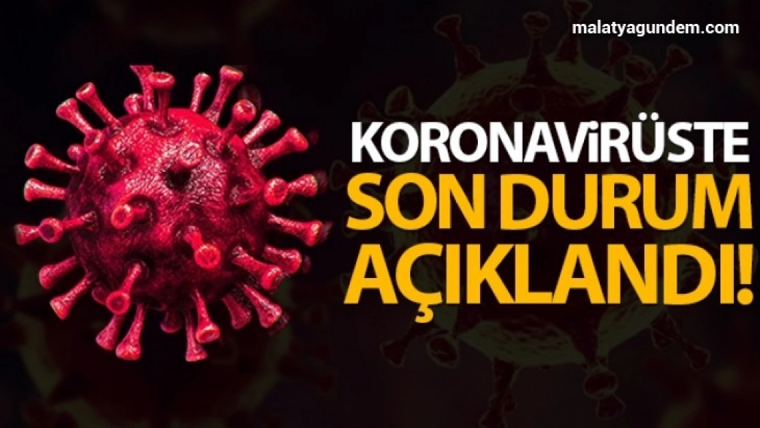 Türkiye'de son 24 saatte 8.642 koronavirüs vakası tespit edildi