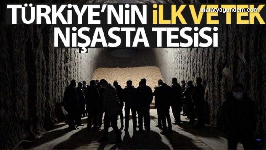 Türkiye'nin ilk ve tek nişasta tesisi üretimini sürdürüyor