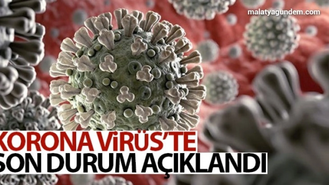 Türkiye'nin son 24 saatlik korona virüs tablosu açıklandı