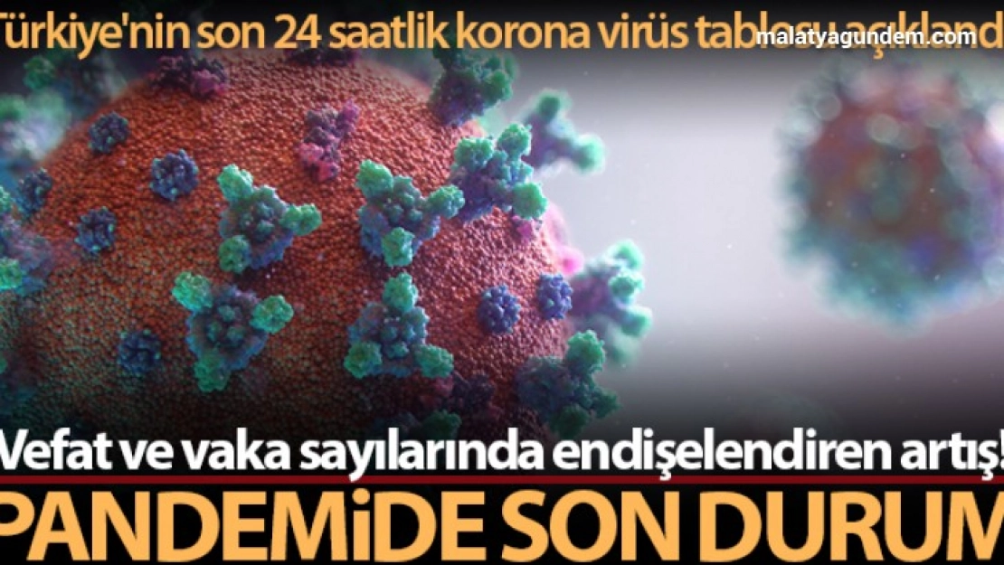 Vaka sayılarında endişelendiren artış