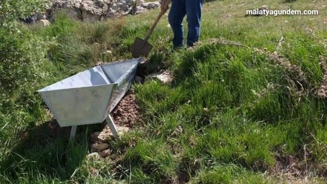 Yaban hayvanları için doğaya su tekneleri bırakıldı