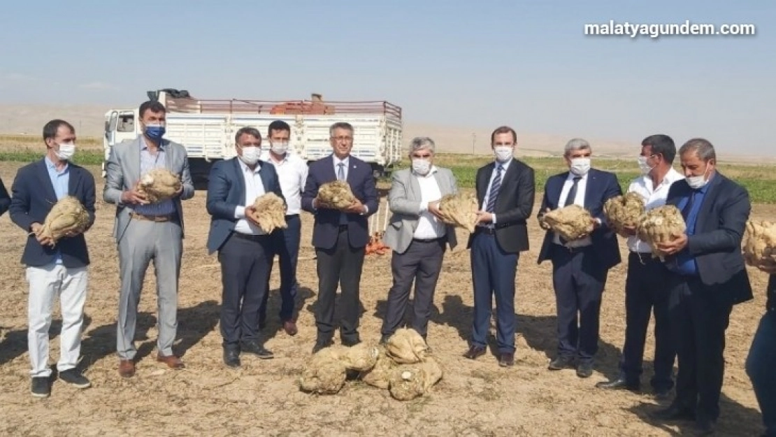 Yazıhan'da pancarın kalitesine tam not