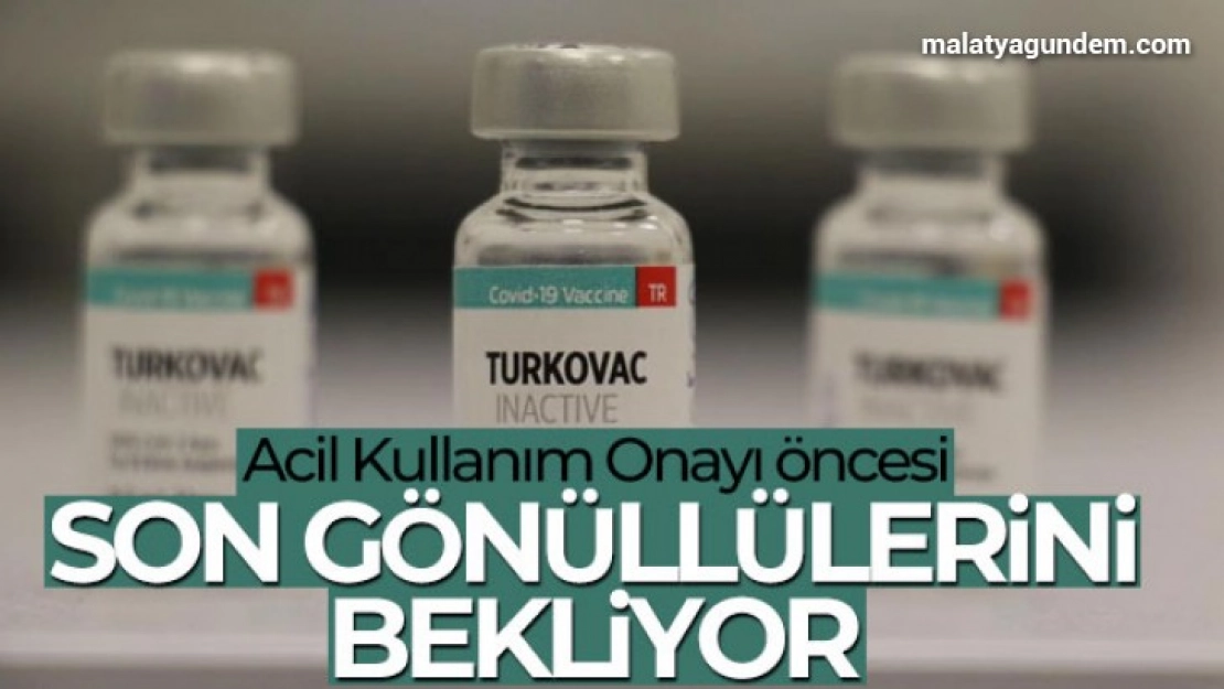 Yerli aşı Turkovac, Acil Kullanım Onayı öncesi son gönüllülerini bekliyor