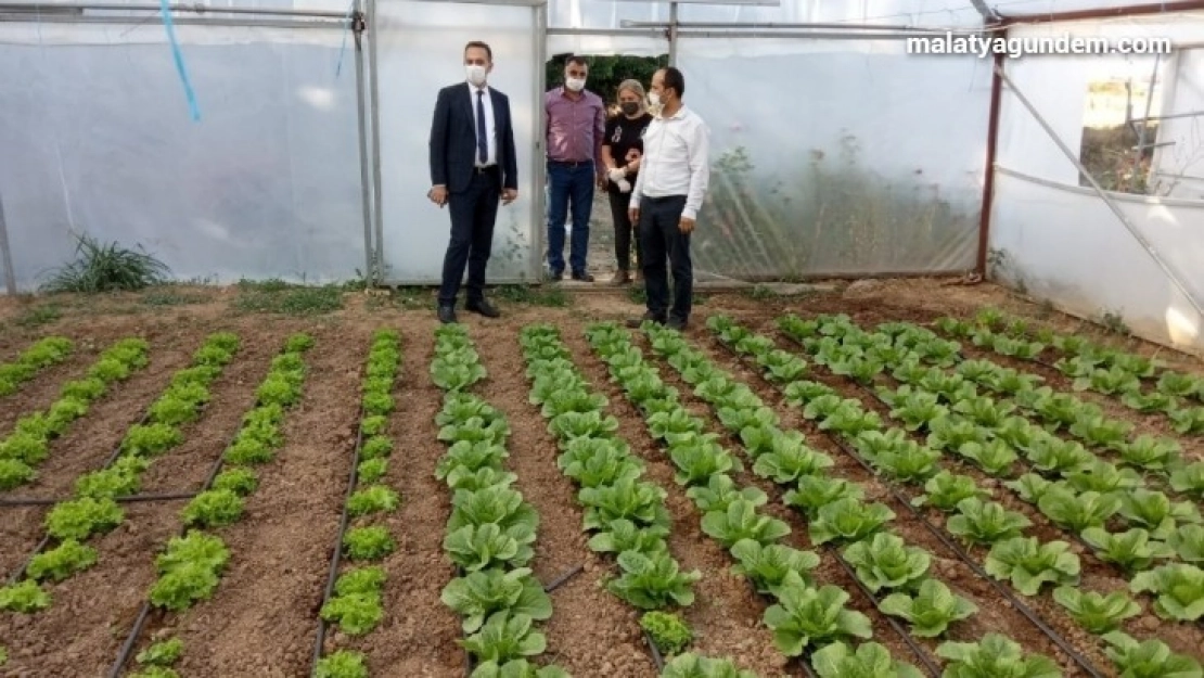 Yeşil gıda seracılıkta kış dönemi ürün çeşitliliği artırıldı