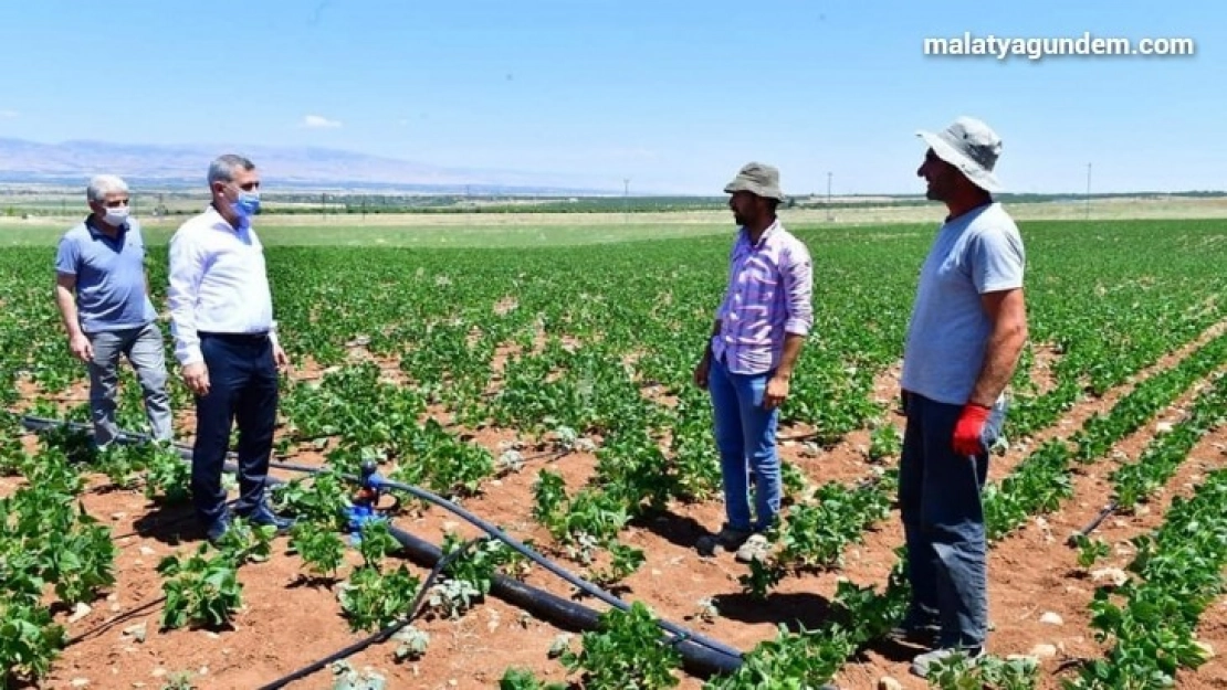 Tarımsal arge sahasında üretimler hız kazandı