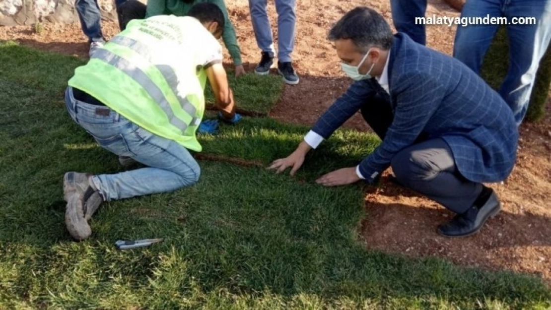 Yeşilyurt Belediyesi  15 bin metrekare rulo çim üretildi