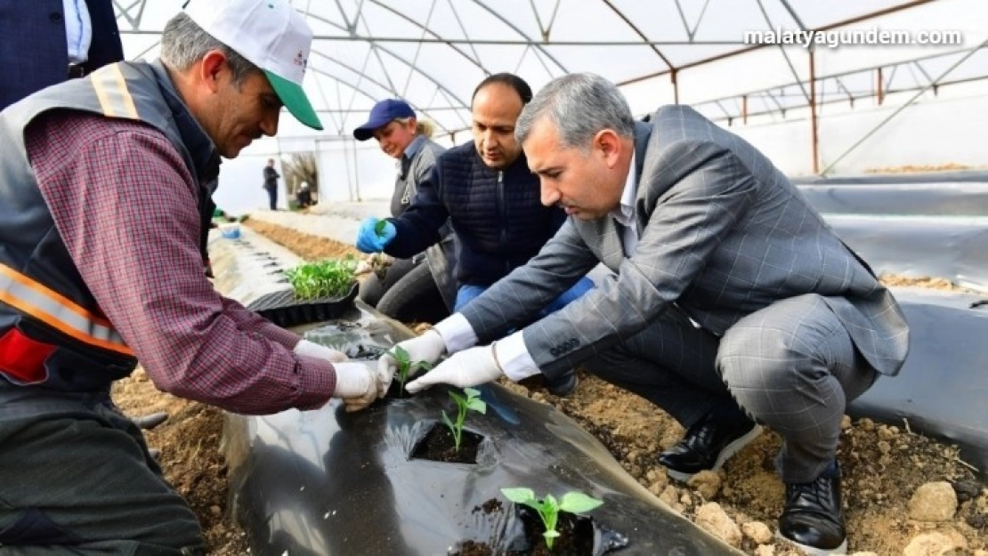 Organik ürünlerle bölge ekonomisine destek