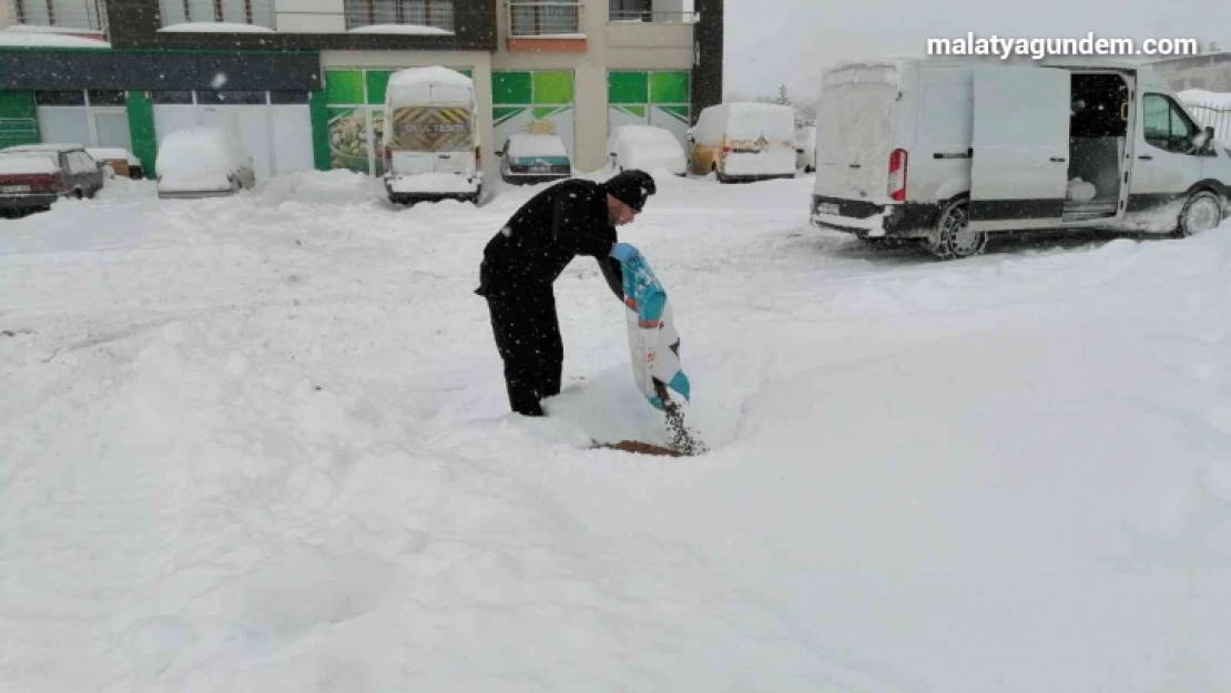 Yeşilyurt'ta sokak hayvanları unutulmadı