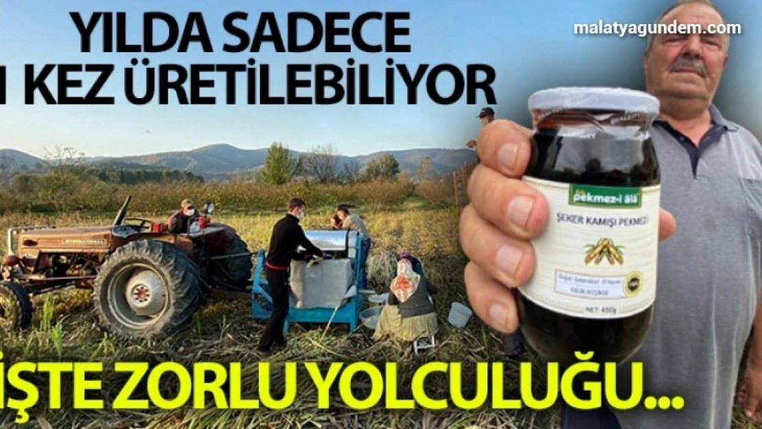 Yılda 1 kez üretilebilen şeker kamışı pekmezinin zorlu yolculuğu