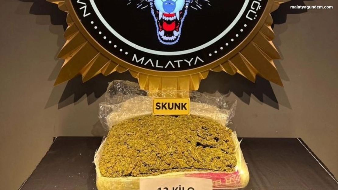 Yolcu otobüsünde 12,5 kilo skunk ele geçirildi