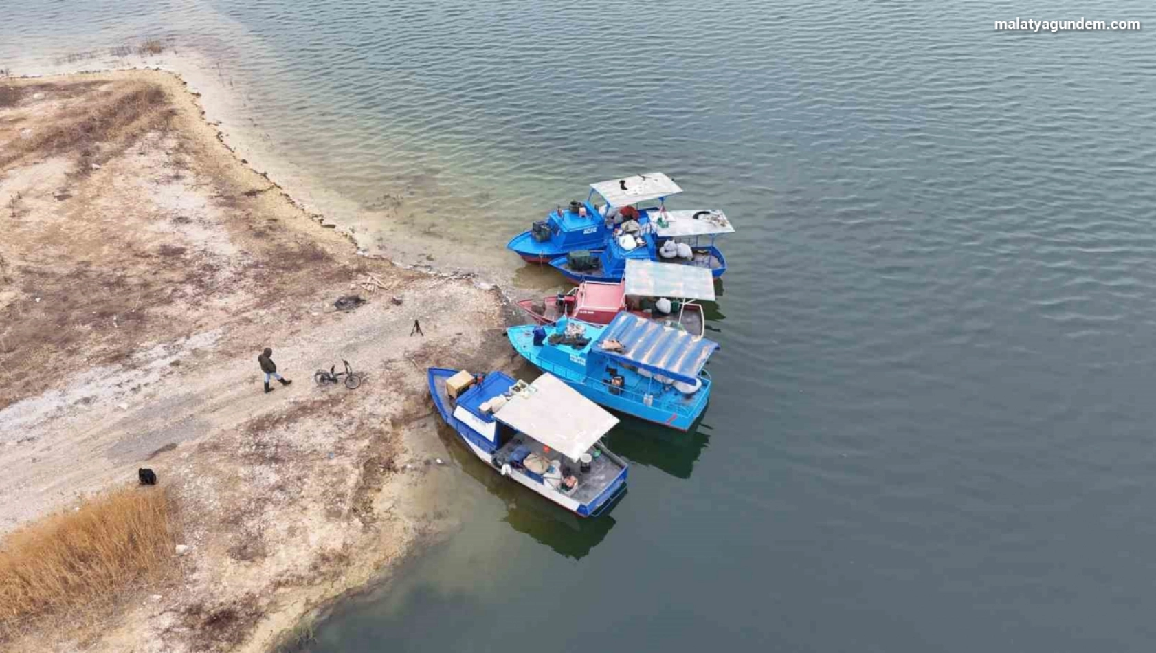 Denizi olmayan Malatya'da balık ihracatı