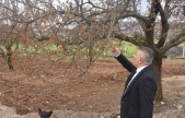 Sadıkoğlu: 'Verilecek destekler sadece kayısıyı değil, şehrimizin geleceğini ilgilendiriyor'