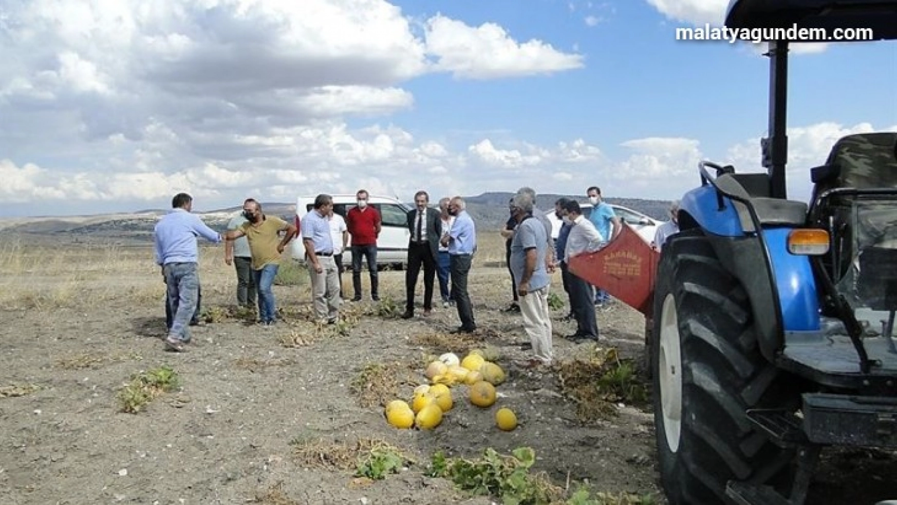 Arguvan'da çerezlik kabak hasadına başlandı