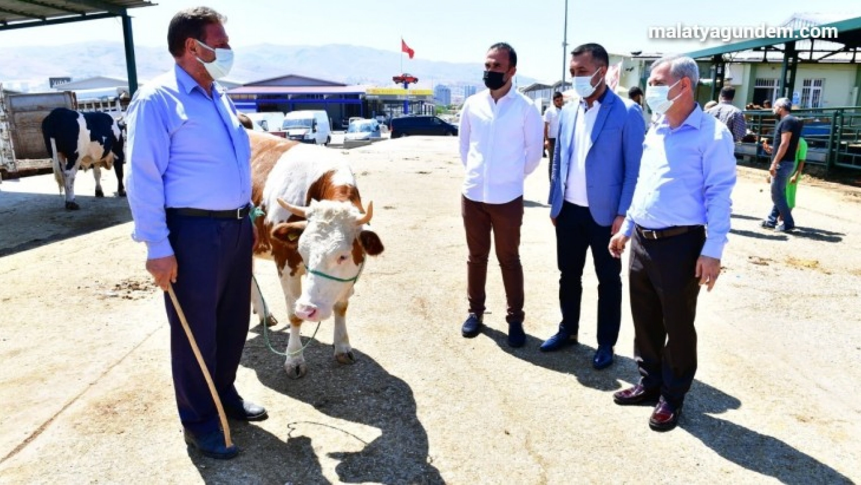 Başkan Çınar, canlı hayvan pazarında inceleme yaptı