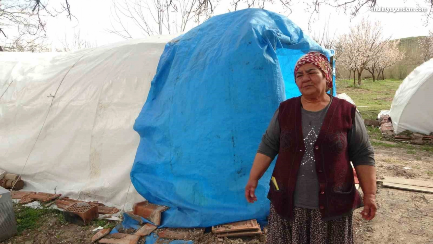 Depremde evi yıkılan Zehra teyzenin umudu 'kayısı'