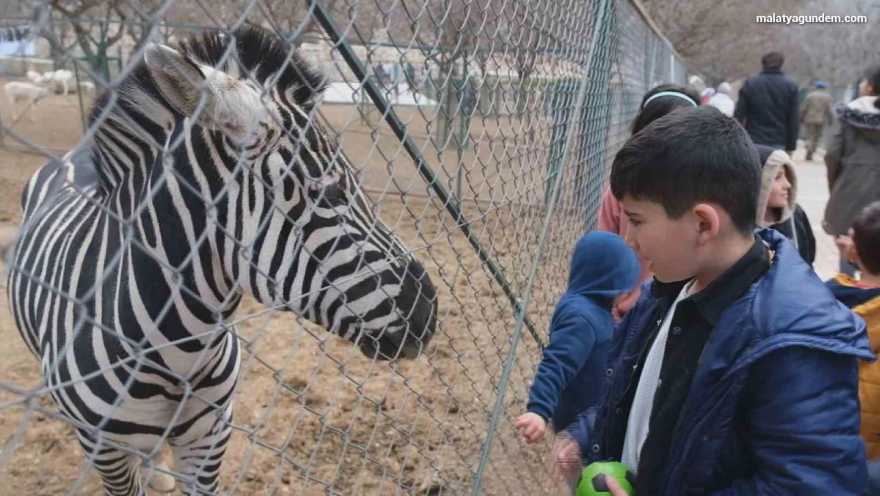 Depremzede çocuklara hayvanat bahçesi morali