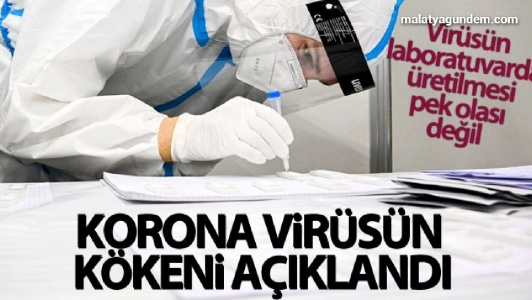 Dünya Sağlık Örgütü ekibi korona virüsün kökenini açıkladı