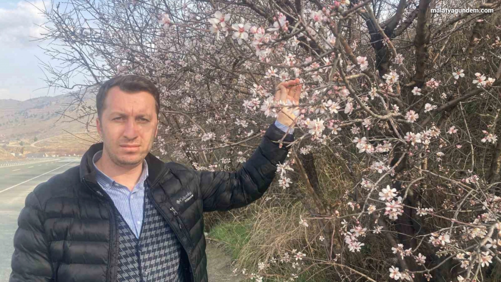 Malatya'da badem ağaçları çiçek açtı