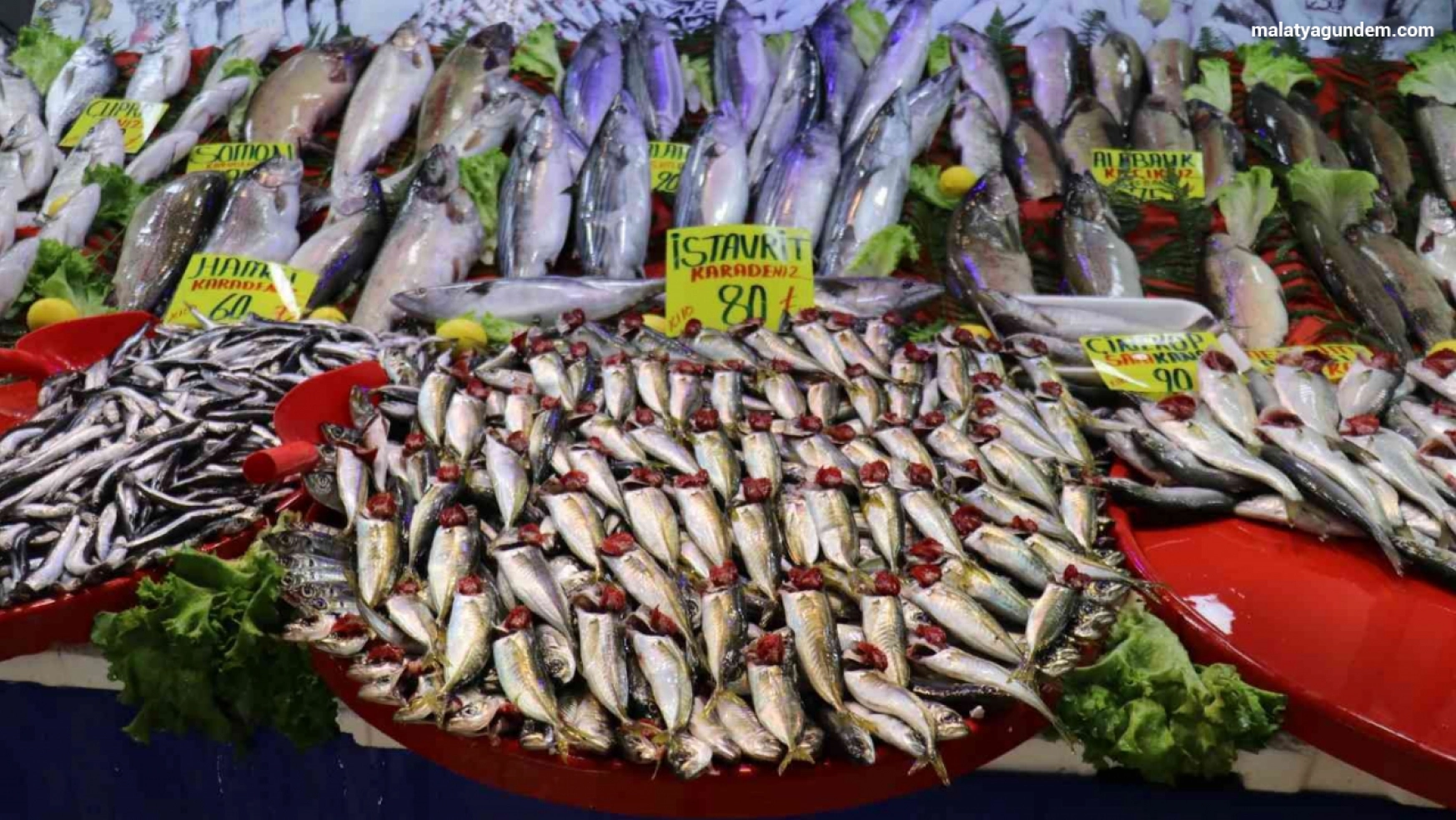 Malatya'da balıkçı tezgahlarının gözdesi 'istavrit'