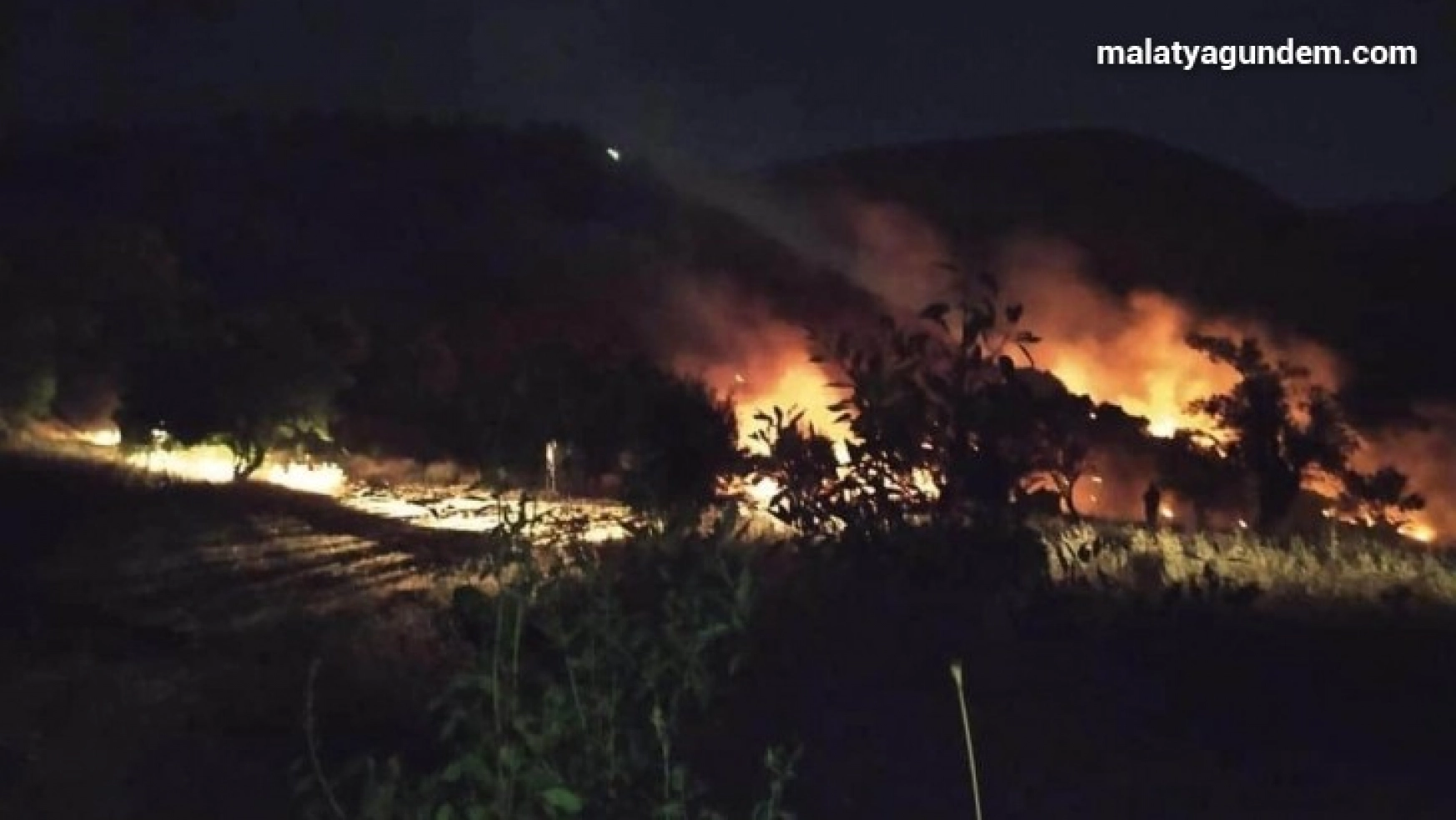 Malatya'da dağlık alanda çıkan örtü yangınına müdahale ediliyor