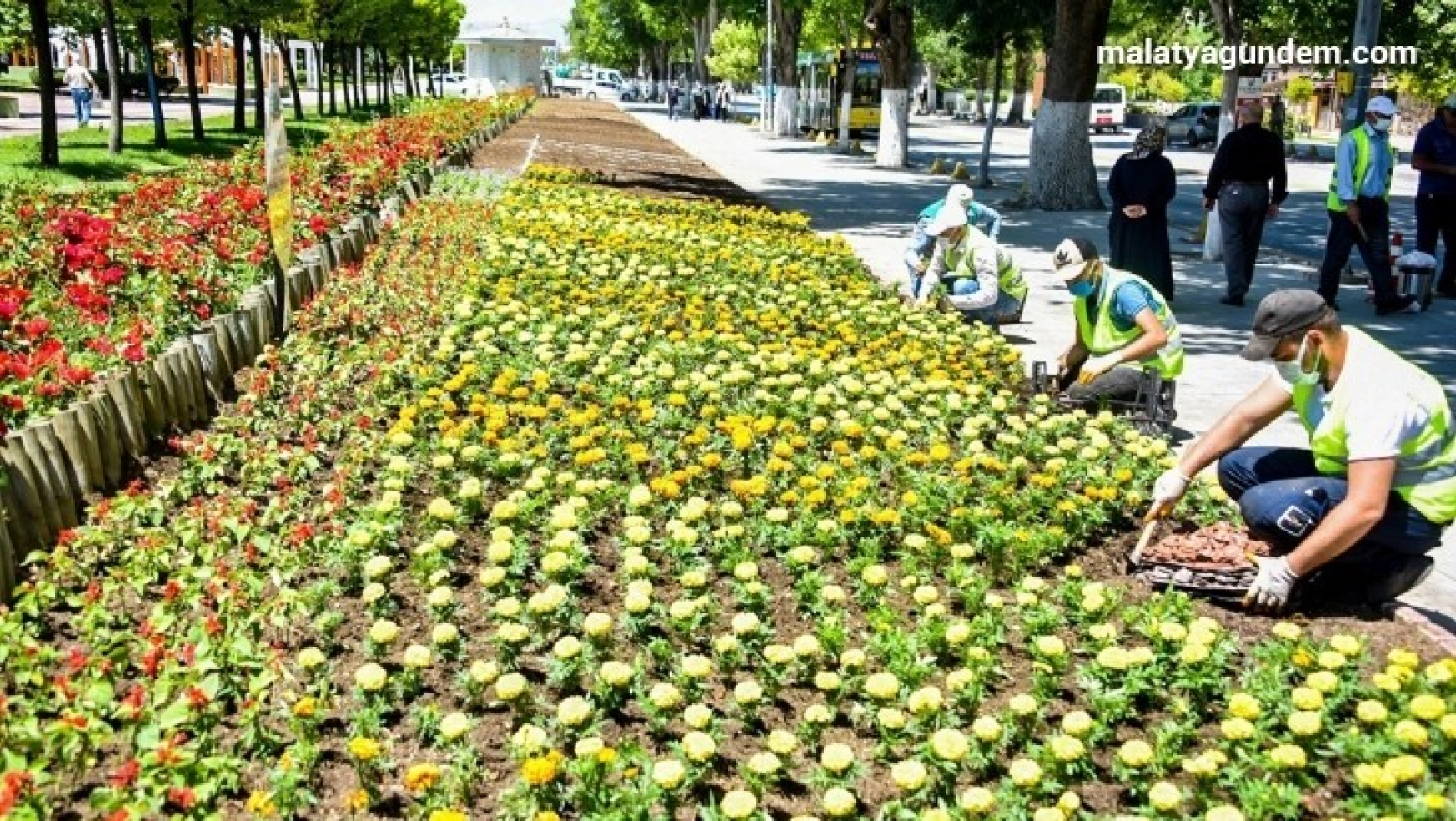 Malatya'da parklar çiçeklerle süsleniyor