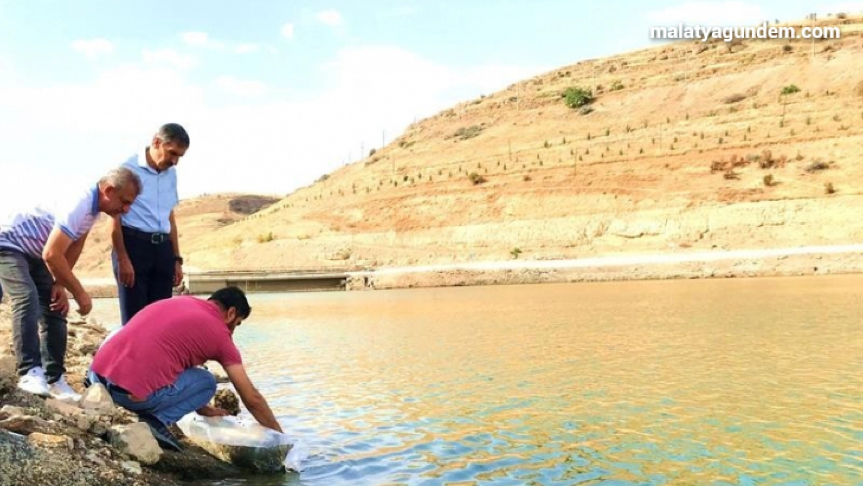 Malatya'daki göletlere 2 milyon yavru balık