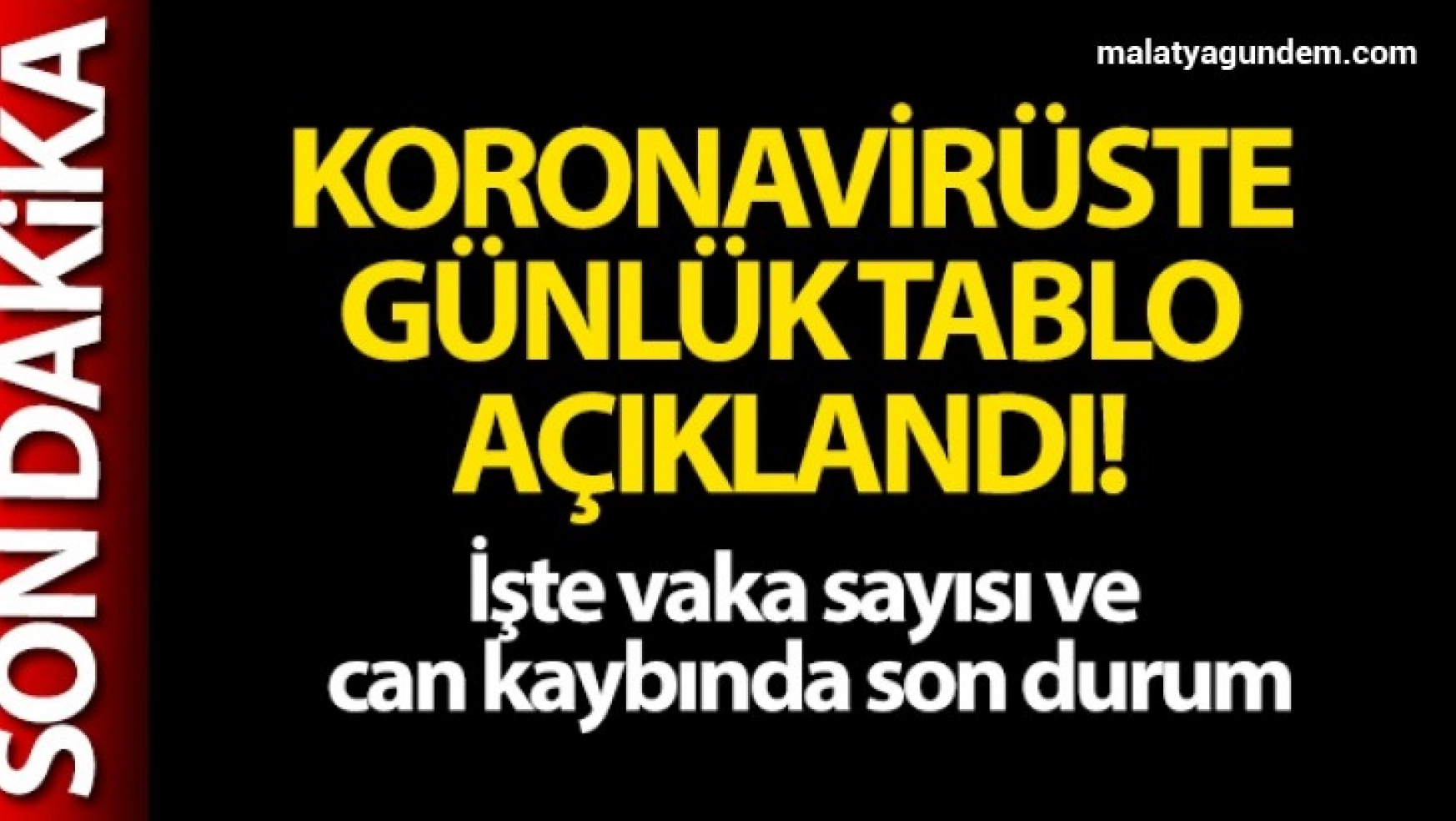 Türkiye'de son 24 saatte 22.388 koronavirüs vakası tespit edildi