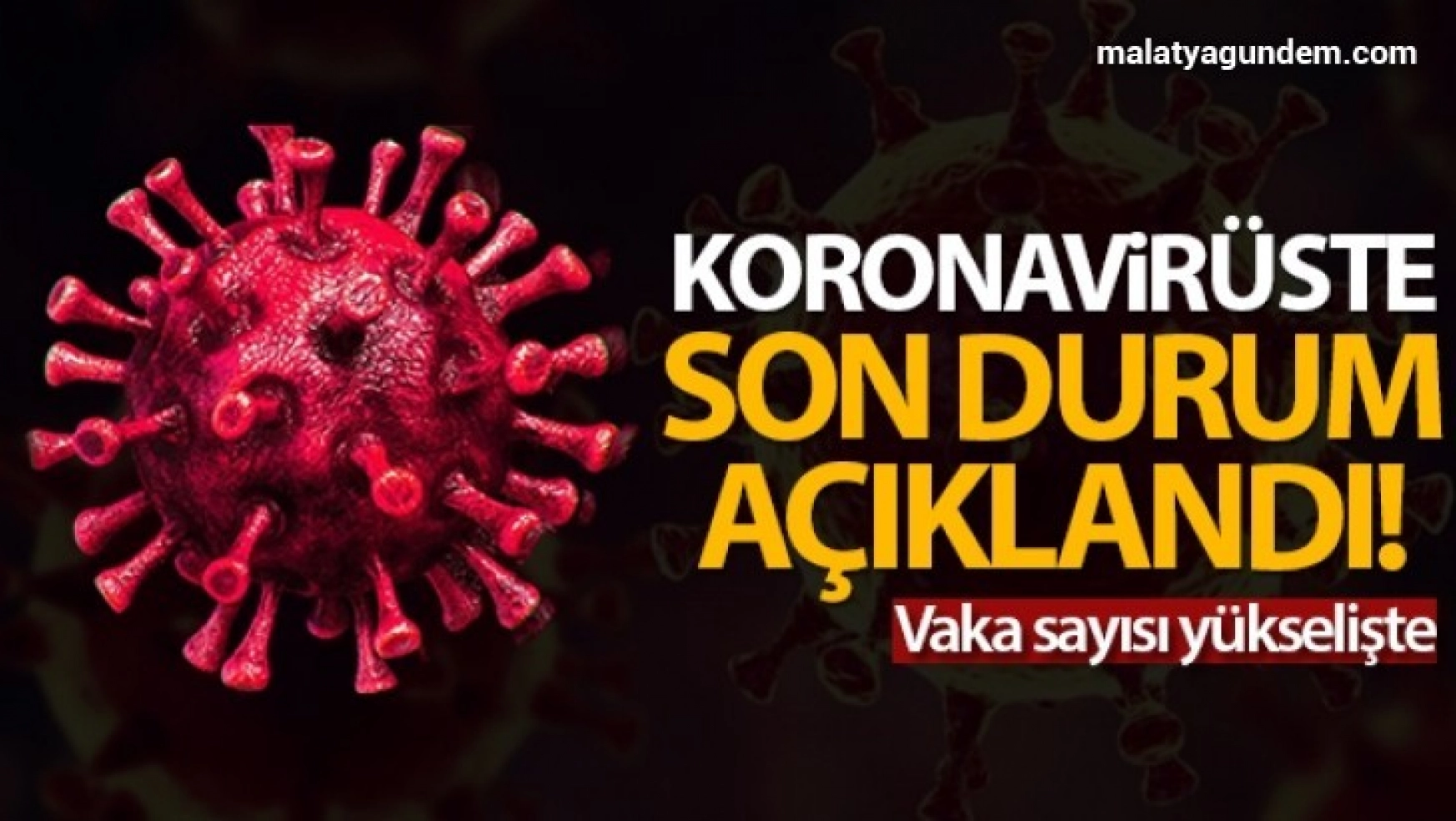 Türkiye'de son 24 saatte 8.103 koronavirüs vakası tespit edildi