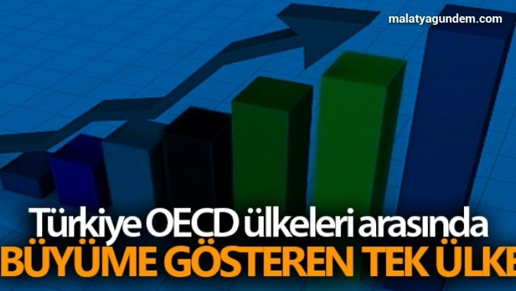Türkiye OECD ülkeleri arasında büyüme gösteren tek ülke