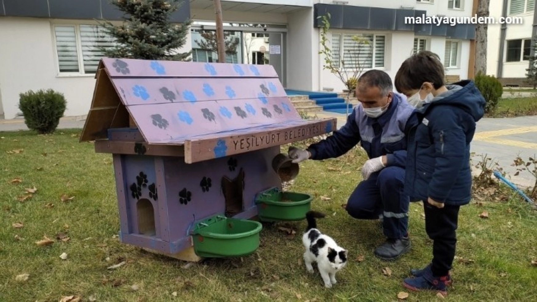 Yeşilyurt'ta sokak hayvanları için Kedi ve Köpek Evler Projesi