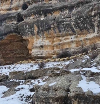 Bin 600 rakımda sürülerin yolculuğu