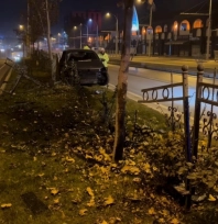 Köpeğe çarpmamak için manevra yapan sürücü refüje çıktı