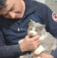 Havalandırma boşluğuna düşen kedi kurtarıldı