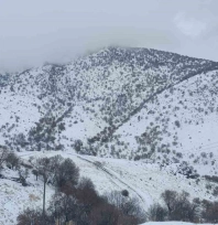 Malatya'da kırsal kesimlerde kar etkili oluyor