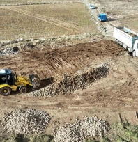 Şeker pancarında yüksek verim çiftçinin yüzünü güldürdü