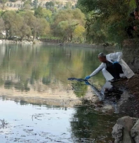 Pikniğe giden öğrenciler gölette kadın cesedi buldu