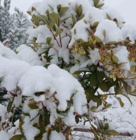 Pütürge'de kartpostallık görüntüler