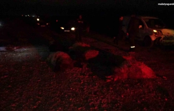 Hafif ticari araç sürüye daldı, 10'dan fazla koyun telef oldu