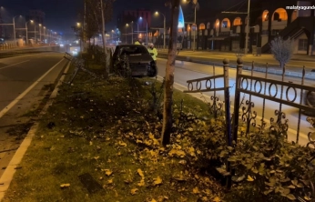 Köpeğe çarpmamak için manevra yapan sürücü refüje çıktı