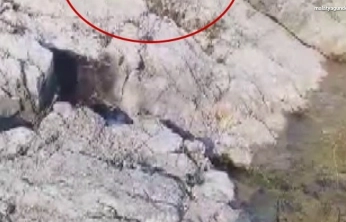 Malatya'da amatör balıkçı ile kedi arasındaki diyalog gülümsetti