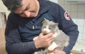 Havalandırma boşluğuna düşen kedi kurtarıldı